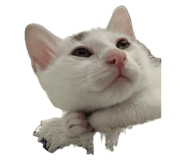 790807144
