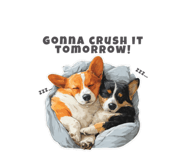 790818044