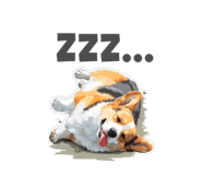 790818062