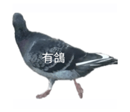790838745