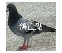 790838746