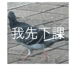 790838760