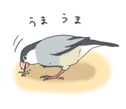 7908392