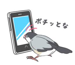 7908406