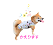 790849892
