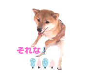 790849899
