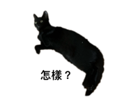 790855897