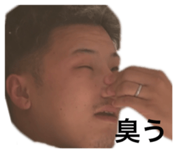 790869032
