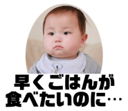 790876520