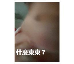 790877631