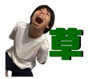 790881655