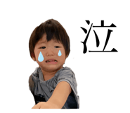 790882253