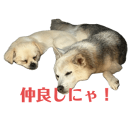 790895086