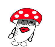 790899900