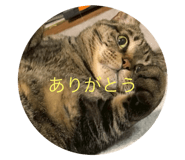 790906200