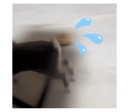 790909637