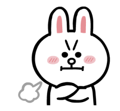 LINE FRIENDS ส่งความสดใส 23