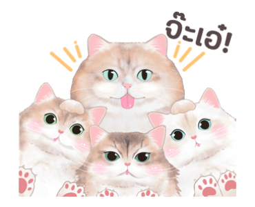 ลายที่ 3