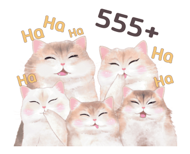 ลายที่ 5