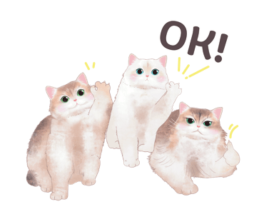 ลายที่ 9