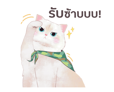 ลายที่ 11