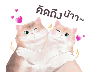 ลายที่ 13