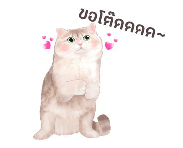 ลายที่ 17