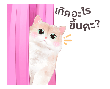 ลายที่ 19