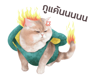 ลายที่ 23