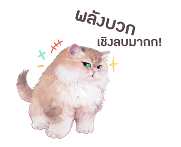 ลายที่ 27