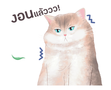 ลายที่ 29