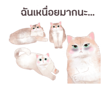 ลายที่ 31