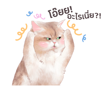 ลายที่ 33