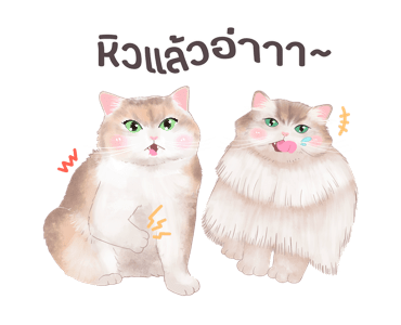 ลายที่ 35