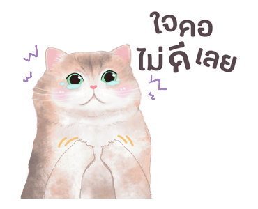 ลายที่ 41