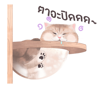 ลายที่ 43