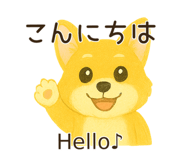 790954034
