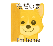 790954040