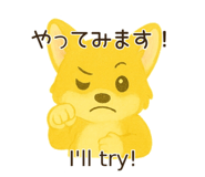 790954060