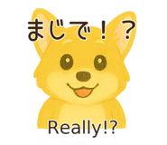 790954062