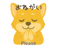 790954066