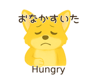 790954068