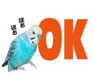 790999004
