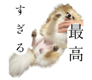 791002167