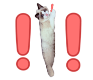 791002974