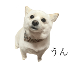 791004040