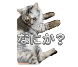 791020273