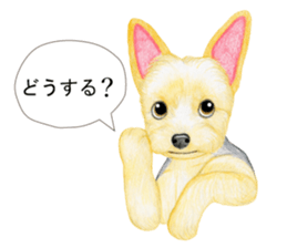 7910212