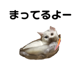 791030865