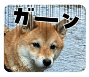 791036470